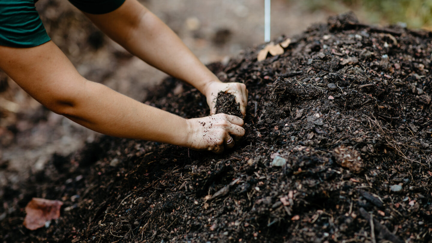 Composting: A Complete Beginner's Guide